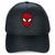 Spider-Man Baseball Cap for Adults