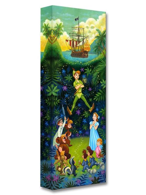 Peter Pan ''The Hero of Never Land'' Giclée by Tim Rogerson