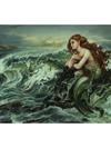 Ariel ''Drawn to the Shore'' by Heather Edwards Hand-Signed & Numbered Canvas Artwork – Limited Edition