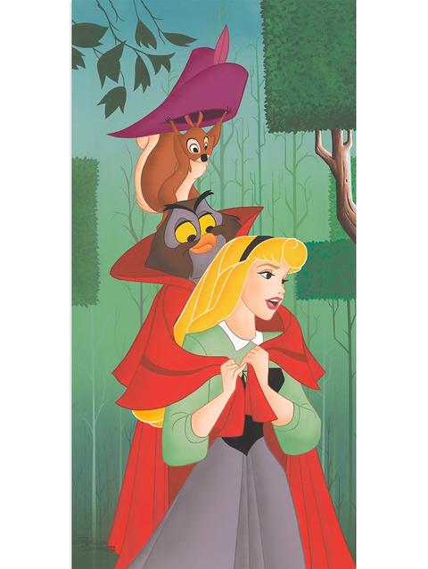 Sleeping Beauty ''Dream Prince'' Canvas Artwork by Don ''Ducky'' Williams – Limited Edition