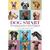 Dog Smart: Life-Changing Lessons in Canine Intelligence Book