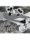 Mickey and Minnie Mouse ''Plane Crazy'' Gallery Wrapped Canvas by Beau Hufford – Plane Crazy – Limited Edition