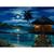 Mickey and Minnie Mouse ''Moonlit Bungalow'' Gallery Wrapped Canvas by Walfrido Garcia – Limited Edition