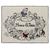 Snow White CozyChic® Blanket by Barefoot Dreams – Snow White and the Seven Dwarfs