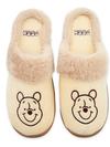 Winnie the Pooh Slippers for Adults