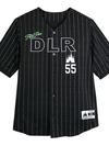 Disneyland Baseball Jersey for Adults